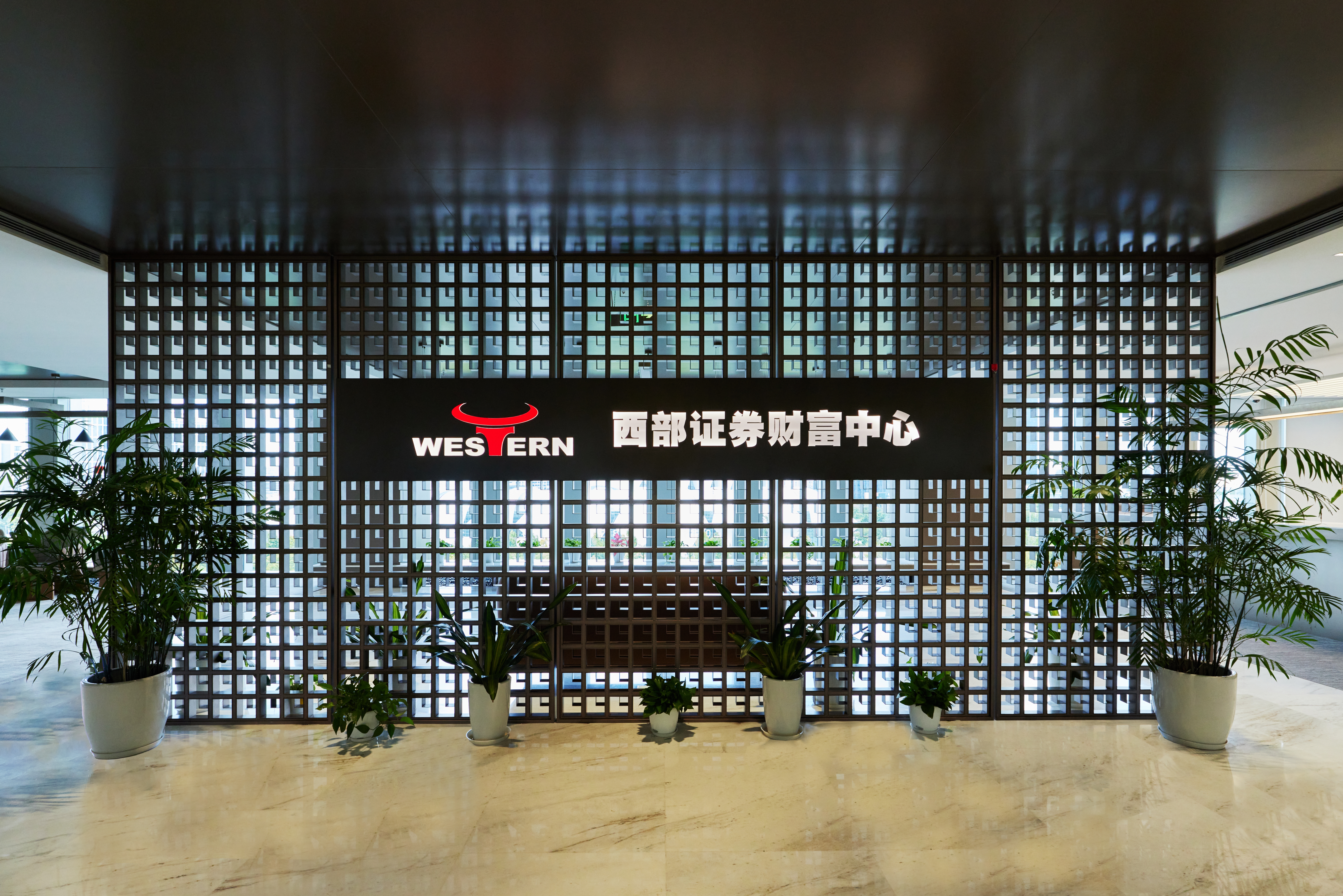 西部证券党委书记、董事长徐朝晖:深耕西北、服务全国,做优居民财富管理,纵深打开服务半径与能力
